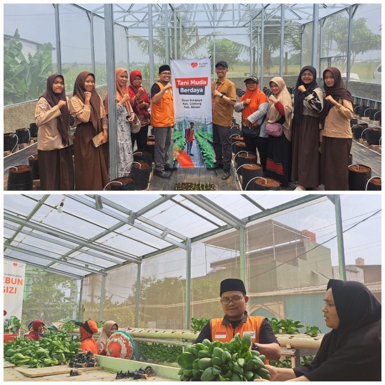 Binaan Rumah Zakat Bekasi, Panen Sayur pokcoy Metode Hidroponik