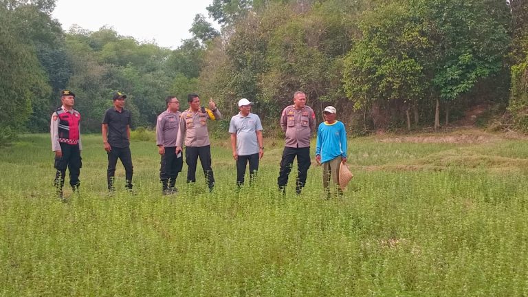 Progam Swasembada Pangan , Polsek Serang Baru Tinjau Lokasi 