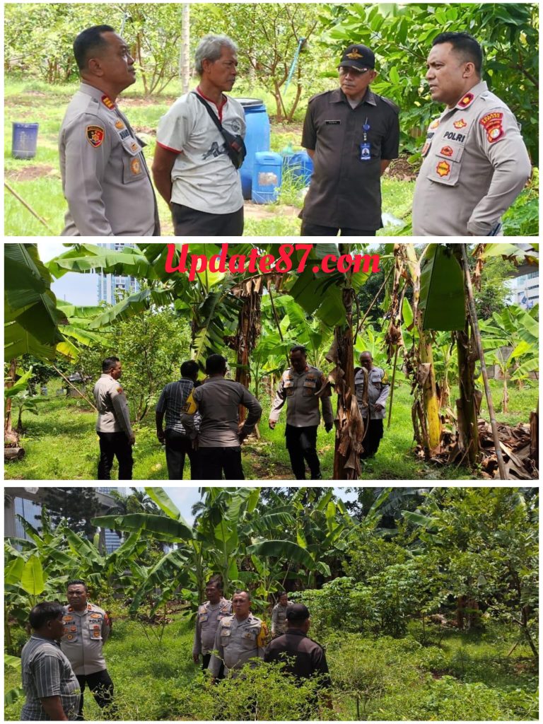 Polsek Mampang Lakukan Pengecekan Lahan Mendukung Program Beyond Trust Presisi dan Ketahanan Pangan