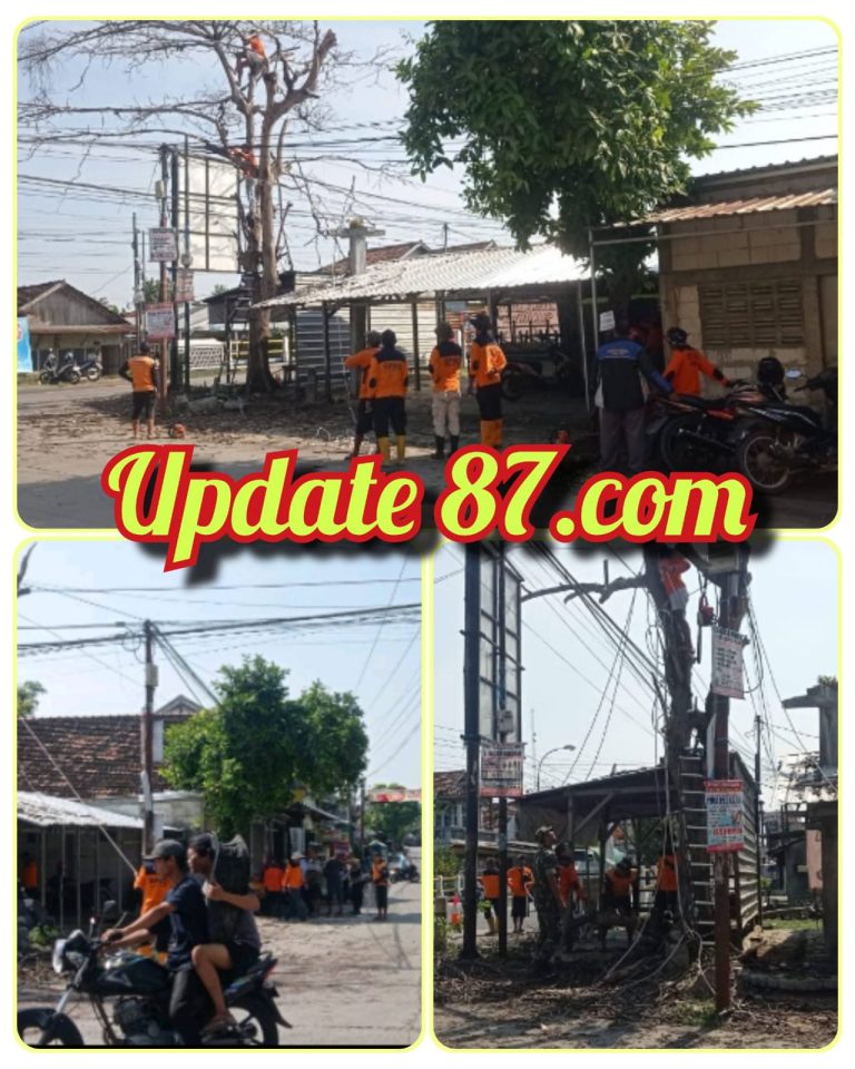 DESTANA desa kalirejo bersama elemen masyarakat gotong royong tebang pohon besar di pertigaan jalan jalur kalirejo ke Prawoto Pati