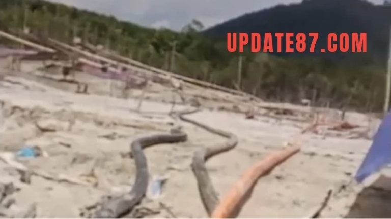 Pidato Viral Kapolda Kalbar Diuji : PETI Masih Mengganas di Kapuas Hulu