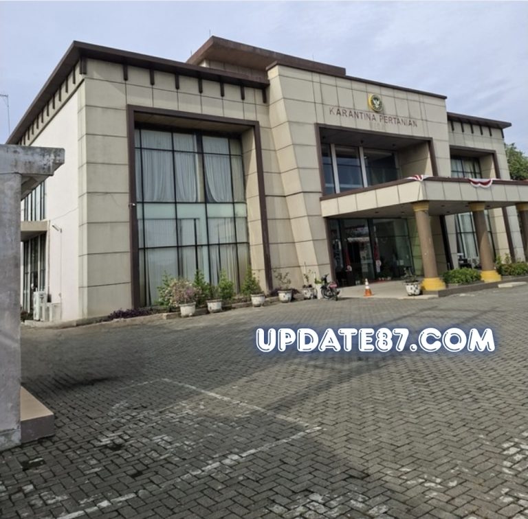 Pelayanan Karantina Pengiriman Ayam Ditutup, Peternak di Sumut Menjerit