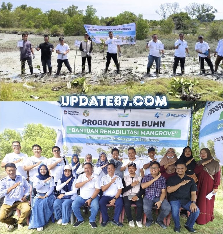 Pelindo Regional 1 Gelar Program TJSL BUMN, Dukun Rehabilitasi Mangrove di Batu Bara